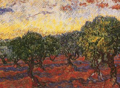 Vincent Van Gogh Olive Grove Sweden oil painting art
